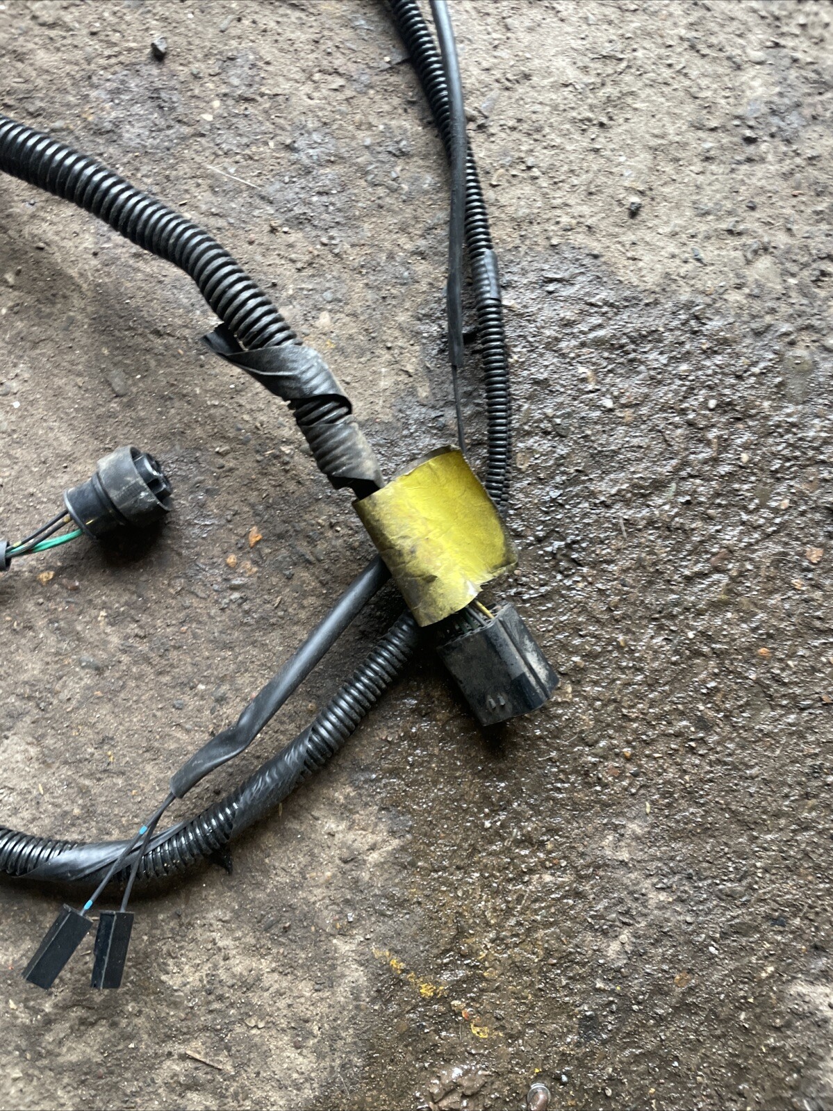 Picture 5 of 6