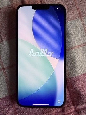 iPhone 13 Pro Max, Graphite, 512GB, gebraucht, top Zustand + Zubehörpaket