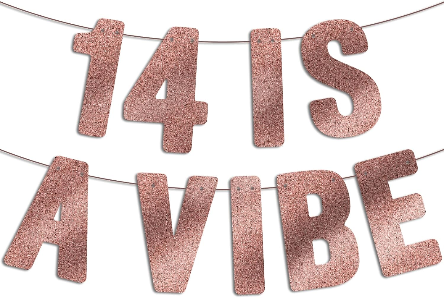 Pre Strung - 14 Is a Vibe - Rose Gold Glitter Banner, 14Th Birthday Decorations