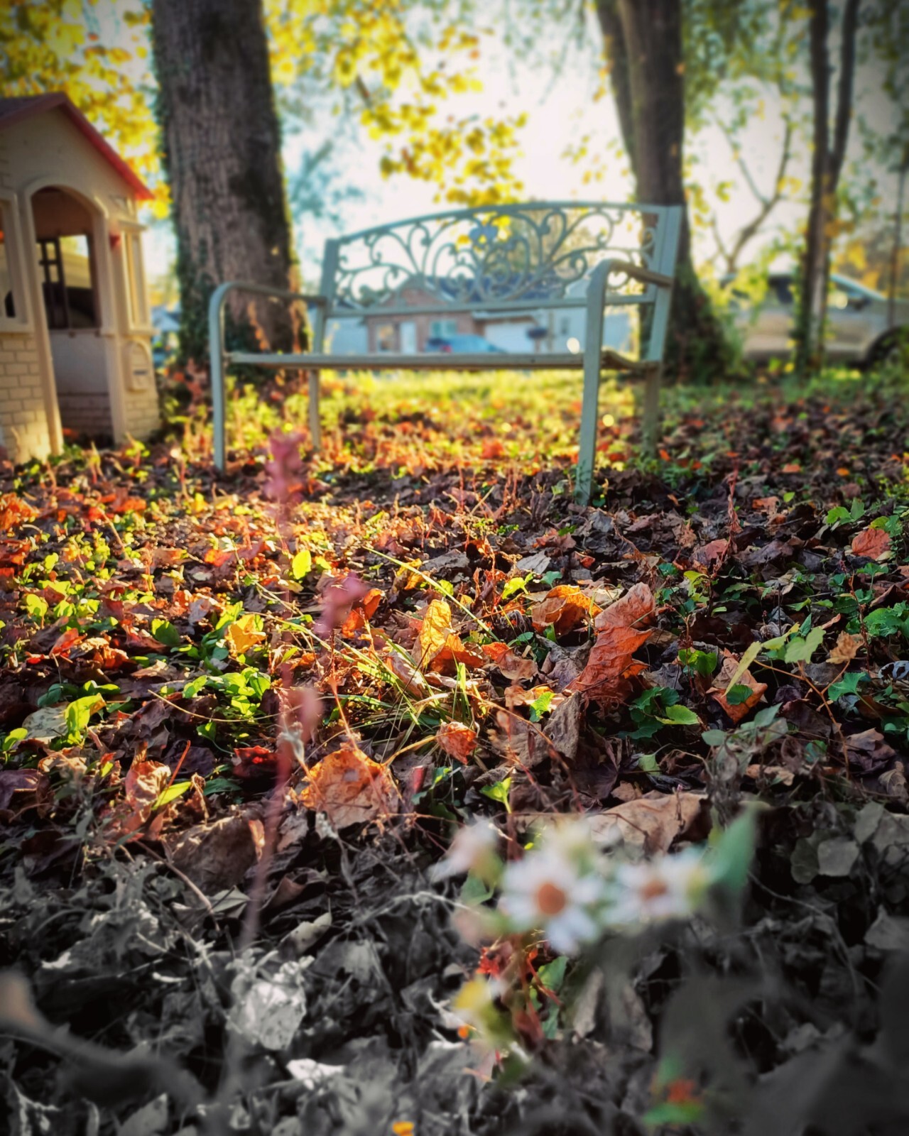 Fine Art Photography Print JD Slayton Autumn Landscape Nature Seasons