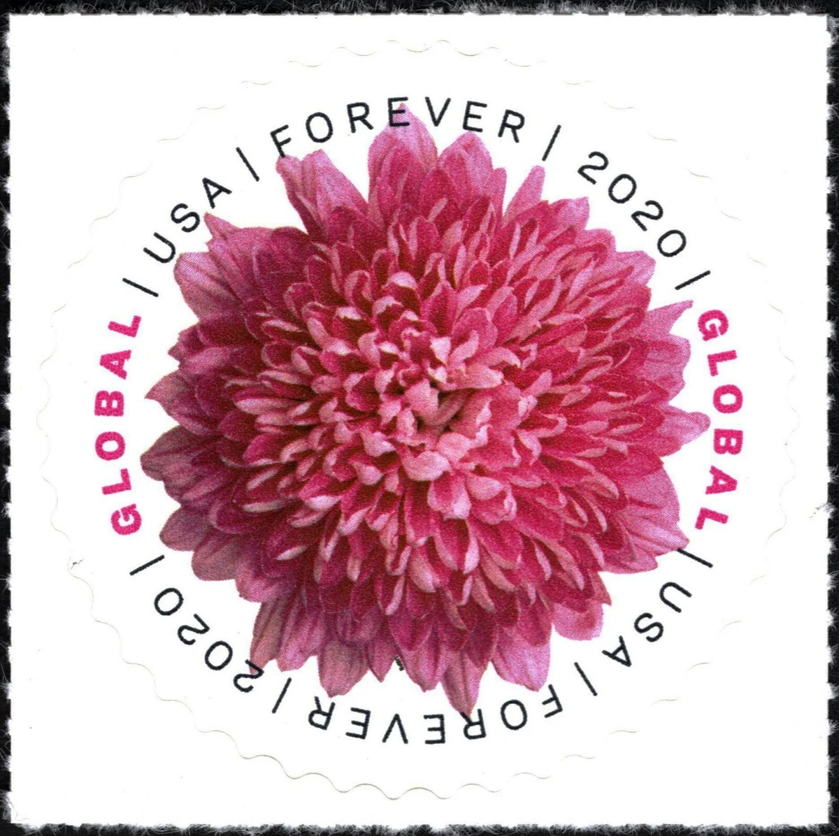 MNH 2020 Chrysanthemum Single Global Forever Stamp - US SCOTT #5460