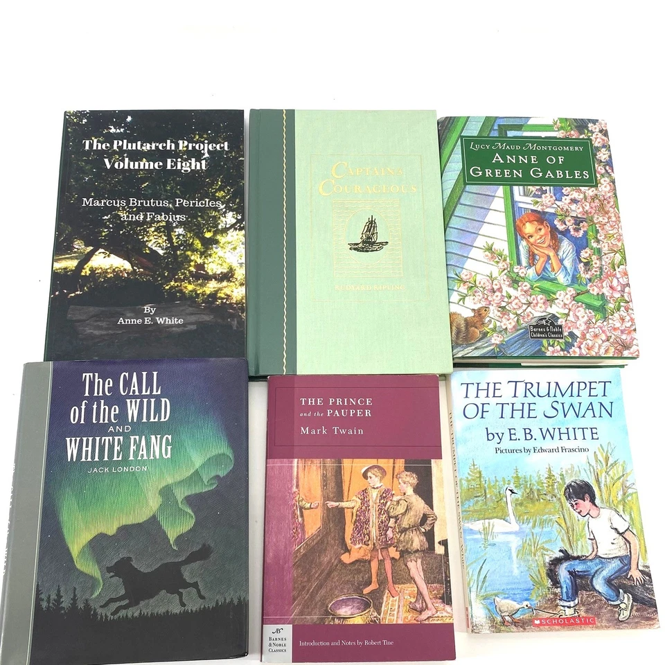 AO Ambleside Online Year 5 & 6 5th & 6th Grade Homeschool Books Incomplete Set - Image 3 of 4