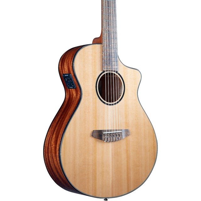 Breedlove Discovery S Concert CE