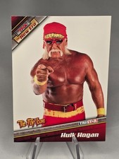 2010 TriStar TNA Icons Review 22