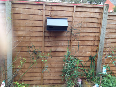Swift Box Window Common swift bird nest box / Available colours ( zeist | eBay UK
