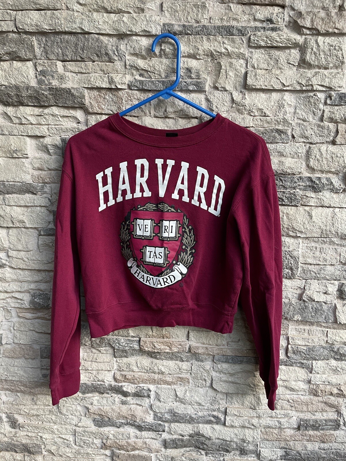 Harvard Crop Top sweater L Y2K-image