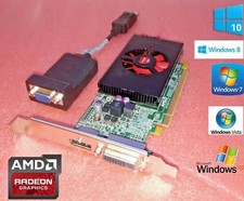 HP Compaq Elite 8000 8100 8200 8300 Microtower HD 1GB DVI VGA 128-Bit Video Card