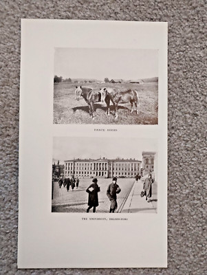 Finnische Pferde & Universität Helsinki, Finnland - antiker Druck - 1928