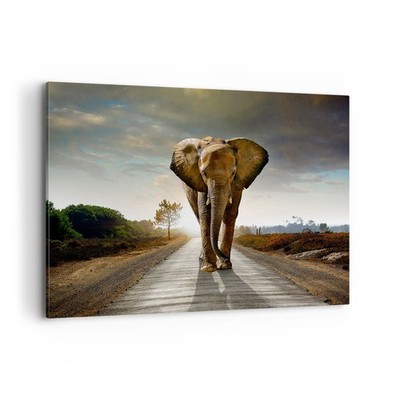 Wandbilder 100x70cm Leinwandbild Elefant Straße Landschaft Groß Bilder Wanddeko