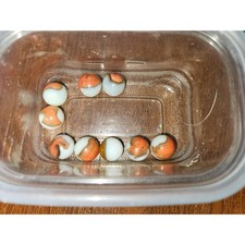 9 Vintage Glass Marbles LOT Orange Green on White H