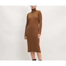 Everlane Turtleneck Dress Size XS