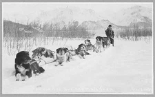 Seward & Susitna Mail Team,Dog Team,Alaska,AK,United States,1900-1930,Snow