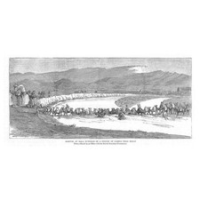 SUDAN Arrival at Bala Murghab of a Convoy of Camels from Heart - Old Print 1885
