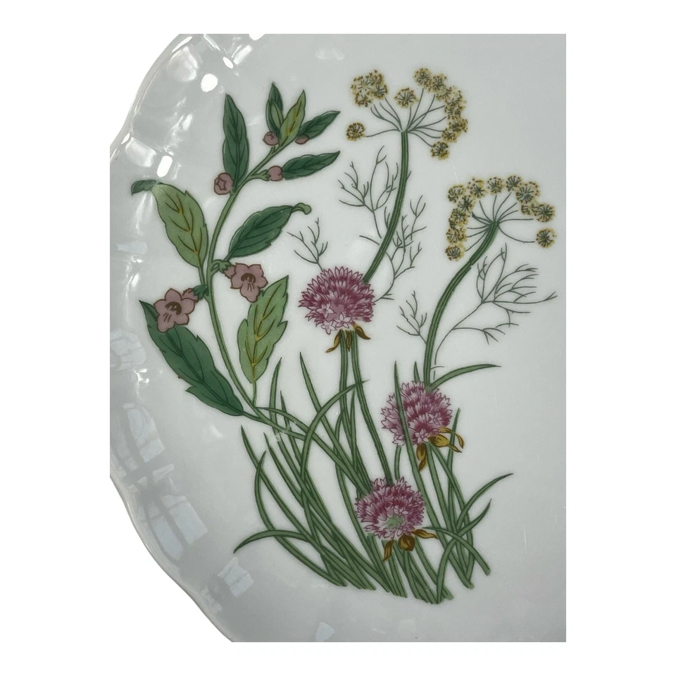 Juego de tazas y platillos/platos de postre Herbs & Spices de Shafford para 4 EXCELENTE Foto 4 de 4