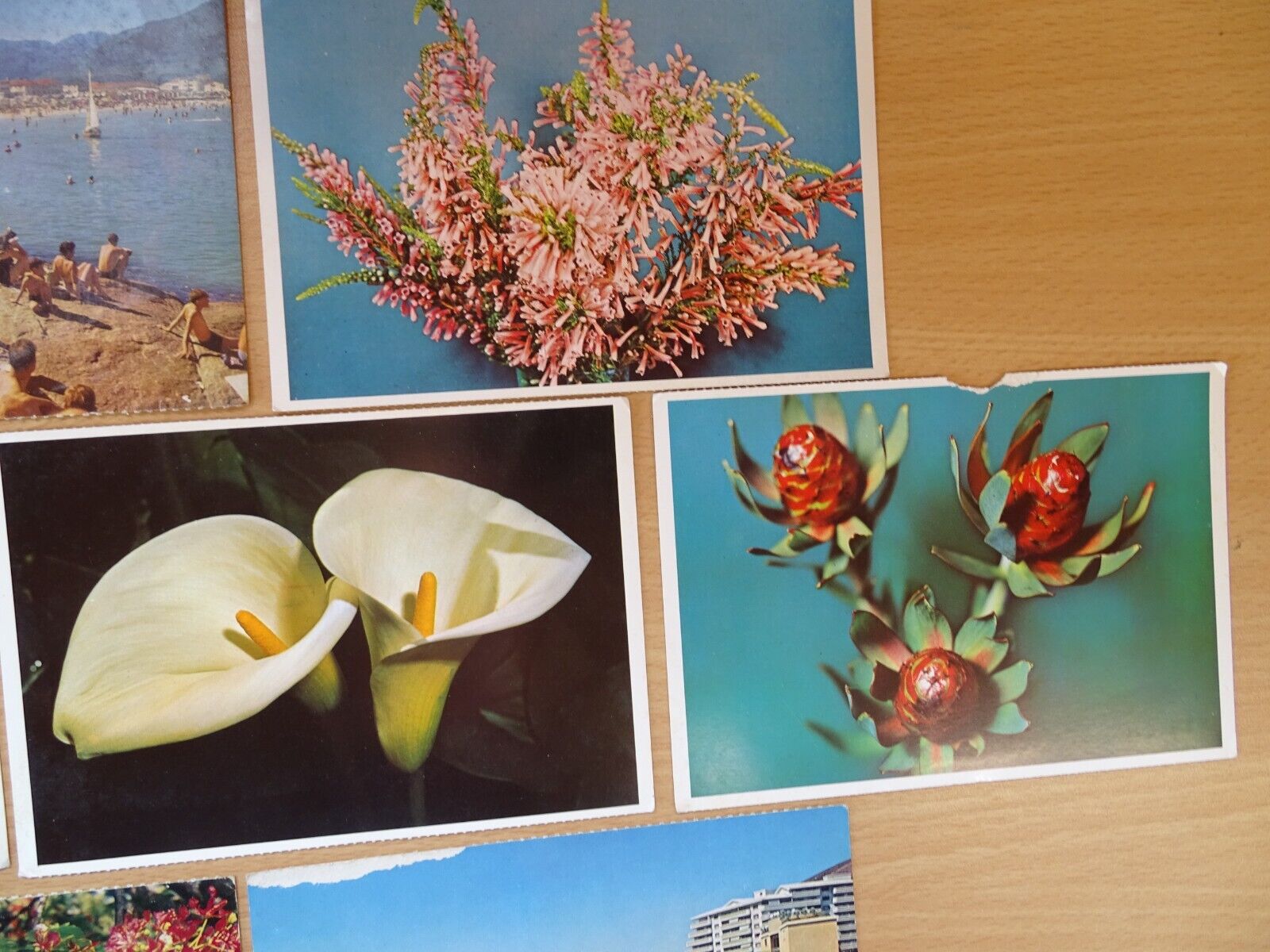 Bild 3 von 14