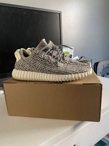 v1 turtle dove
