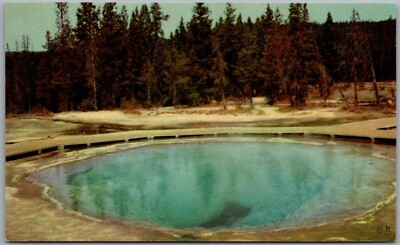 Morning Glory Pool Yellowstone National Park Wyoming Postcard G917