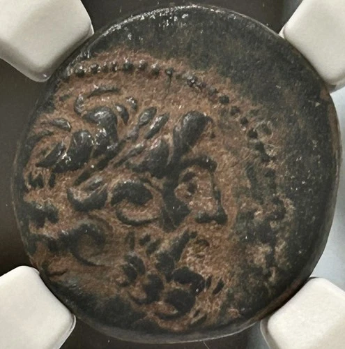 Syria Antioch Roman Rule after 65/4 BC AE20 Zeus NGC VF