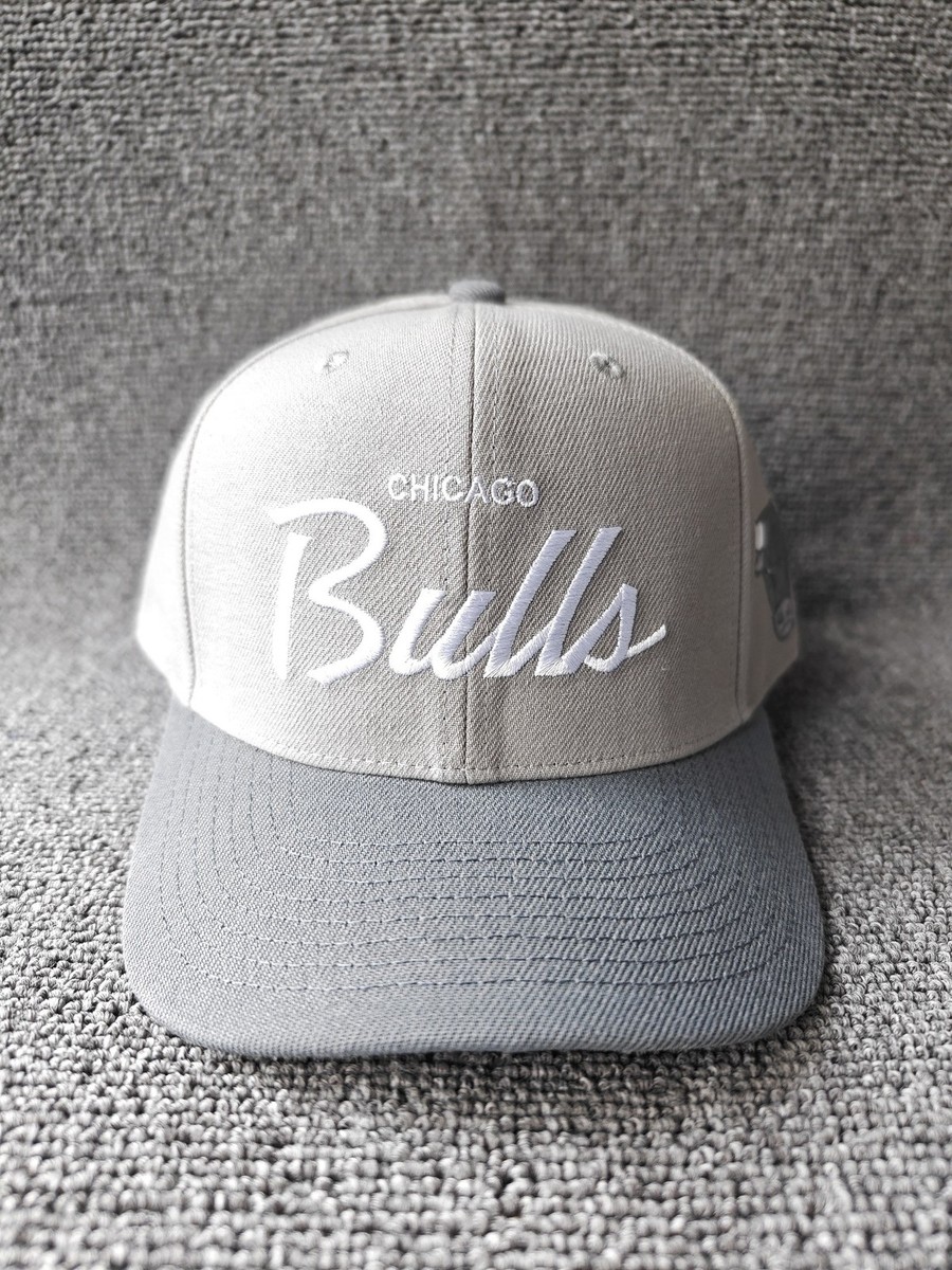 Mitchell & Ness Nostalgia Co Chicago Bulls Gray Snapback Hat New