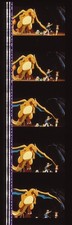 Pokemon The First Movie Mewtwo Strikes Back 35mm Film Cell strip very Rare a41