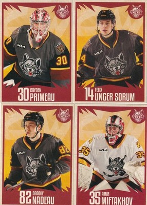 2025-26 Chicago Wolves AHL Hurricanes Pick A Card Nadeau Nystrom Legault Legends