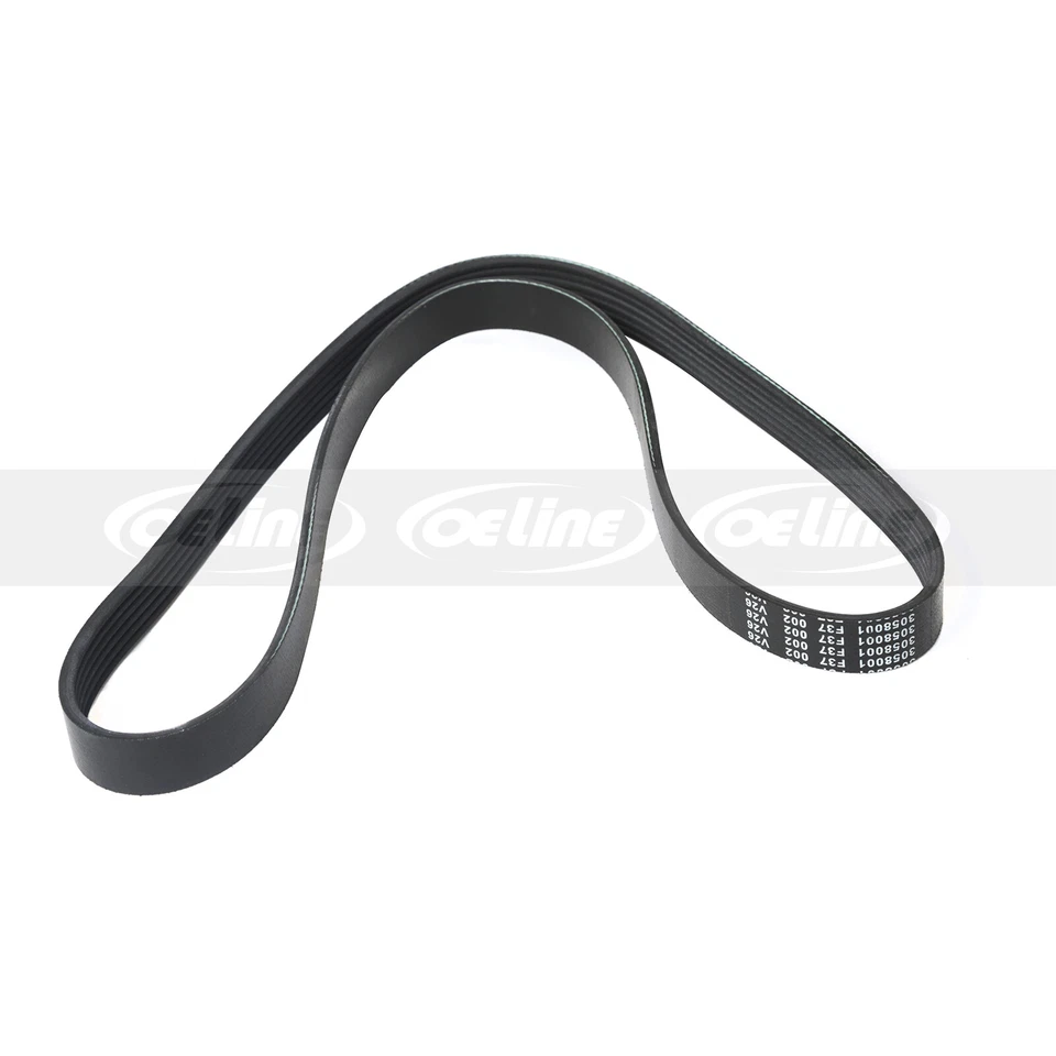 Cinturón serpentino para Nissan Quest Máxima Murano V6 3,5 L DOHC 6PK1060 03-09 Foto 3 de 4