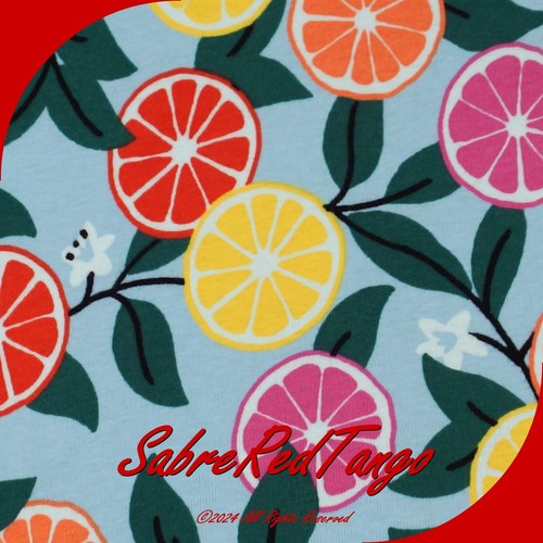 NWT HANNA ANDERSSON ORGANIC SHORT JOHNS PAJAMAS SWEET CITRUS PRINT 110 5 - Picture 3 of 4