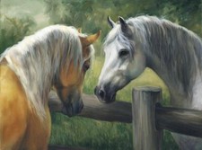 Ceramic Backsplash Tile Mural Horse Animal Kitchen/Bathroom - Love At First Site