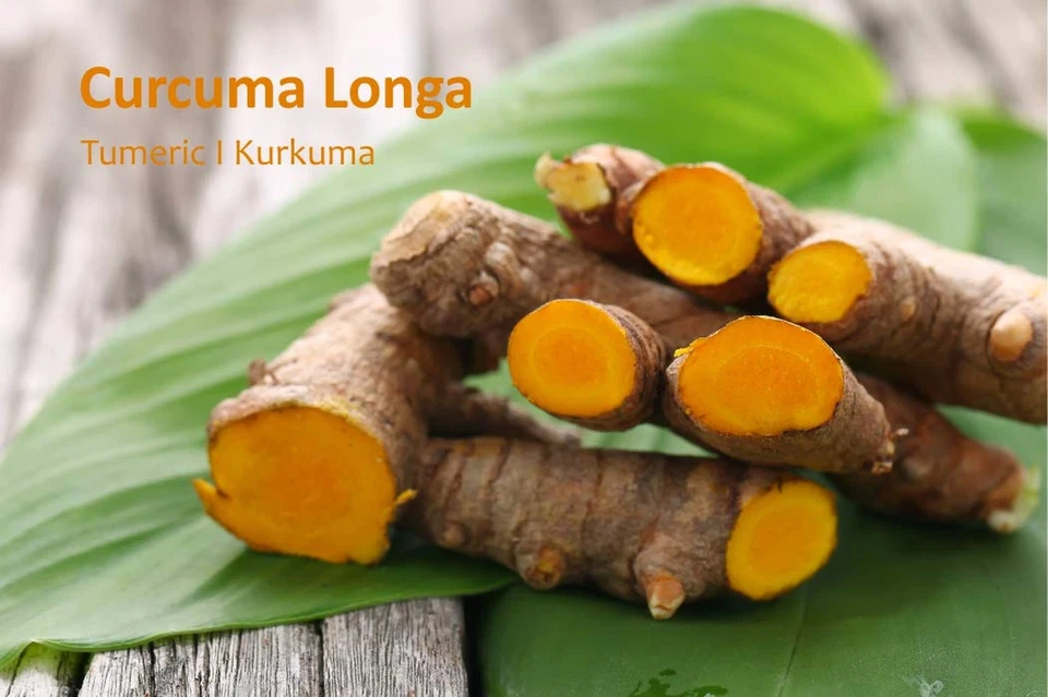 Sorion Repair Creme – Spezialpflege Bei Hautirritationen, Rötungen Und Juckreiz - Bild 3 von 4