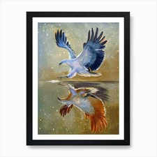 Eagle at will Art Print Framed Wall Art Poster Canvas Print Picture