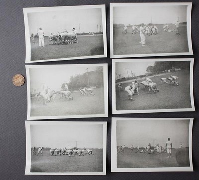 1958 Elwood Indiana High School Football Team 6 (SIX!) Callaway Park Photo Set -