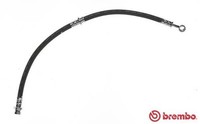 Brembo T 30 054 Bremsschlauch Hinten Links Rechts FüR Hyundai Lexus