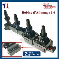 Schiene Von ZüNdspule Nuckel FüR C2 1.6 VTS C3 16V - 597099 597080 963633780