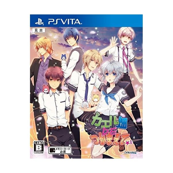Frog field DE get it PS Vita Japan Official Collectible Exclusive Authentic