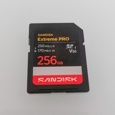 SanDisk Extreme PRO 256GB SDXC Speicherkarte SD Karte 250 MB/S V30 WIE NEU!