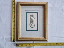 Framed Seahorse hand coloured Etching C.L. Mander?
