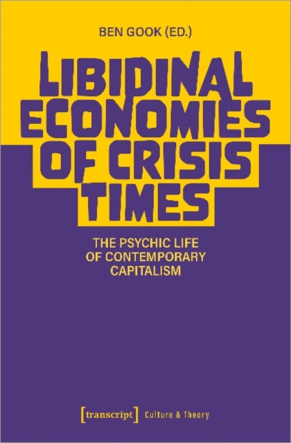 Libidinal Economies of Crisis Times PAPERBACK 9783837656855