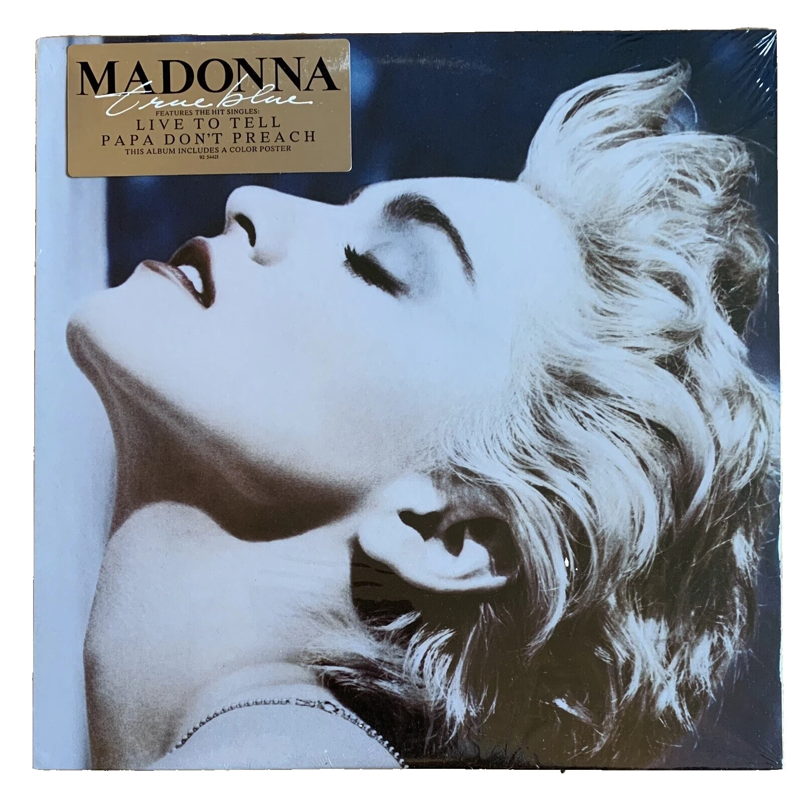Madonna cantautor discos de vinilo Pop