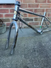 dp Firebird Race Frame and Forks