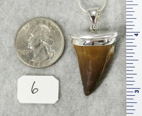 COLGANTE DENTAL MOSASAURUS $79 Joyería de Plata Esterlina CREACIONES STARBORN - Imagen 8 de 12