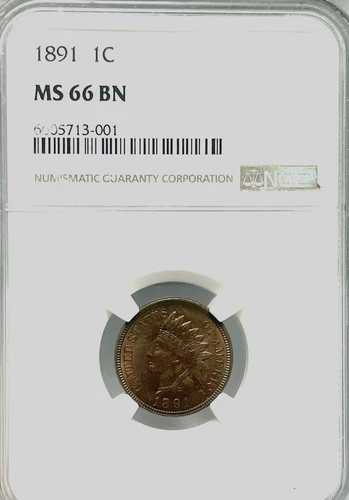 1891 Indian Head Cent NGC MS 66 BN Looks RB #101 Beautiful