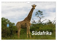 SüDafrika (Wandkalender 2026 Din A4 Quer), Calvendo Monatskalender