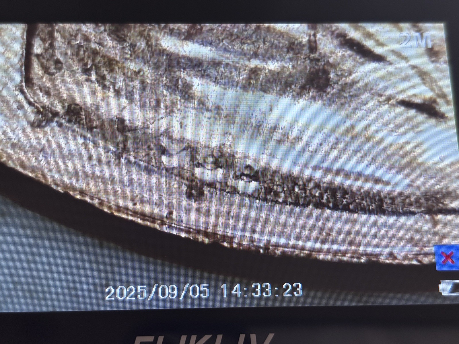 Picture 5 of 8