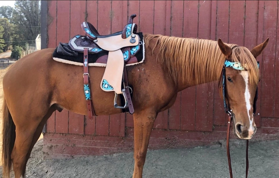 Sillín de cuero Western Barrel para niños y jóvenes, sillín para niños: 10 a 13 pulgadas Foto 2 de 4