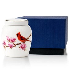Small Urns for Human Ashes - Cremation Keepsake Decorative Urns, Ceramic Urns...