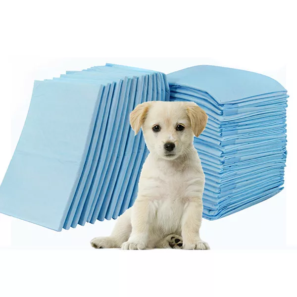 Dog hot sale incontinence pads
