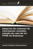 AdopcióN De Sistemas De InformacióN Contable: Estudio De Caso De Las Pyme De...