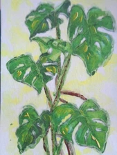 ATC  ACEO - TALL GREEN PLANT  Art