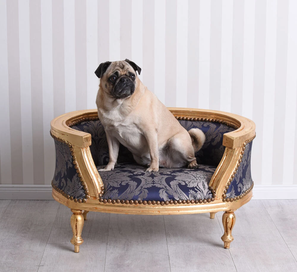 Gold dog sale bed