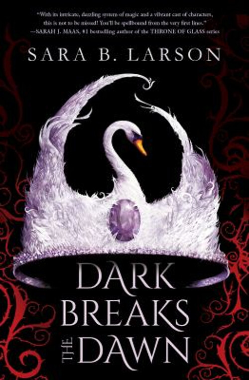 Dark Breaks the Dawn Paperback by Sara B Larson Fantasy Adventure